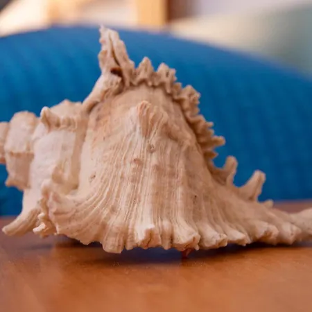 Merano Misano Adriatico