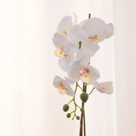 Merano Hotel Misano Adriatico