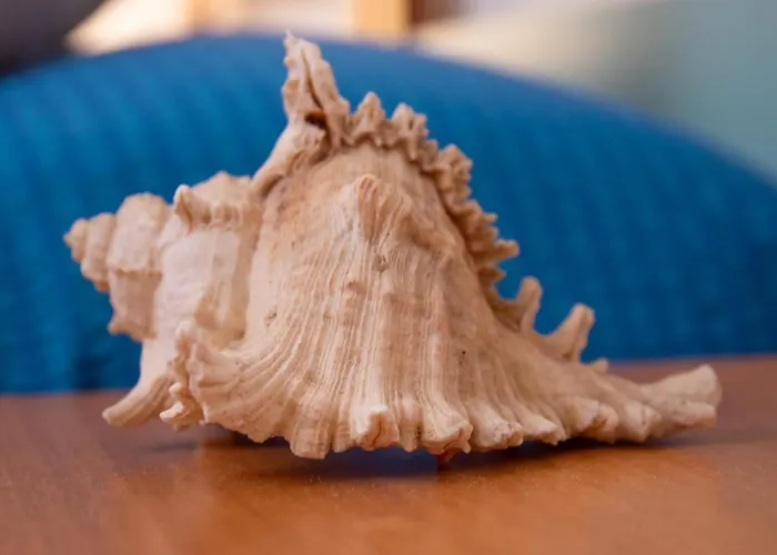 Merano Misano Adriatico