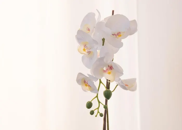 Merano فندق ميسانو ادرياتيكو