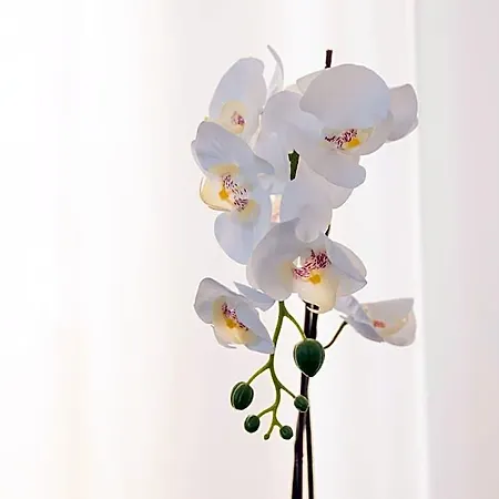 Merano 미사노아드리아티코